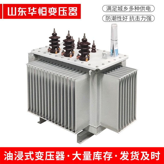 S13-10000/35中宁中宁中宁油浸式变压器厂家